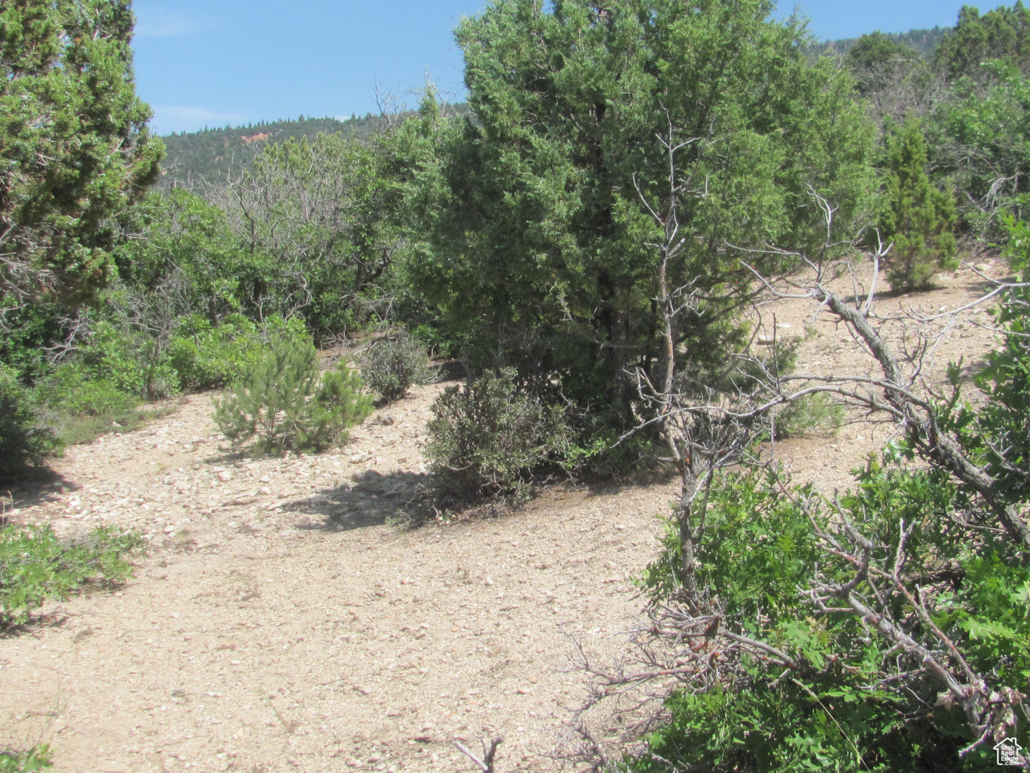 HORSESHOE MT RANCH - Land