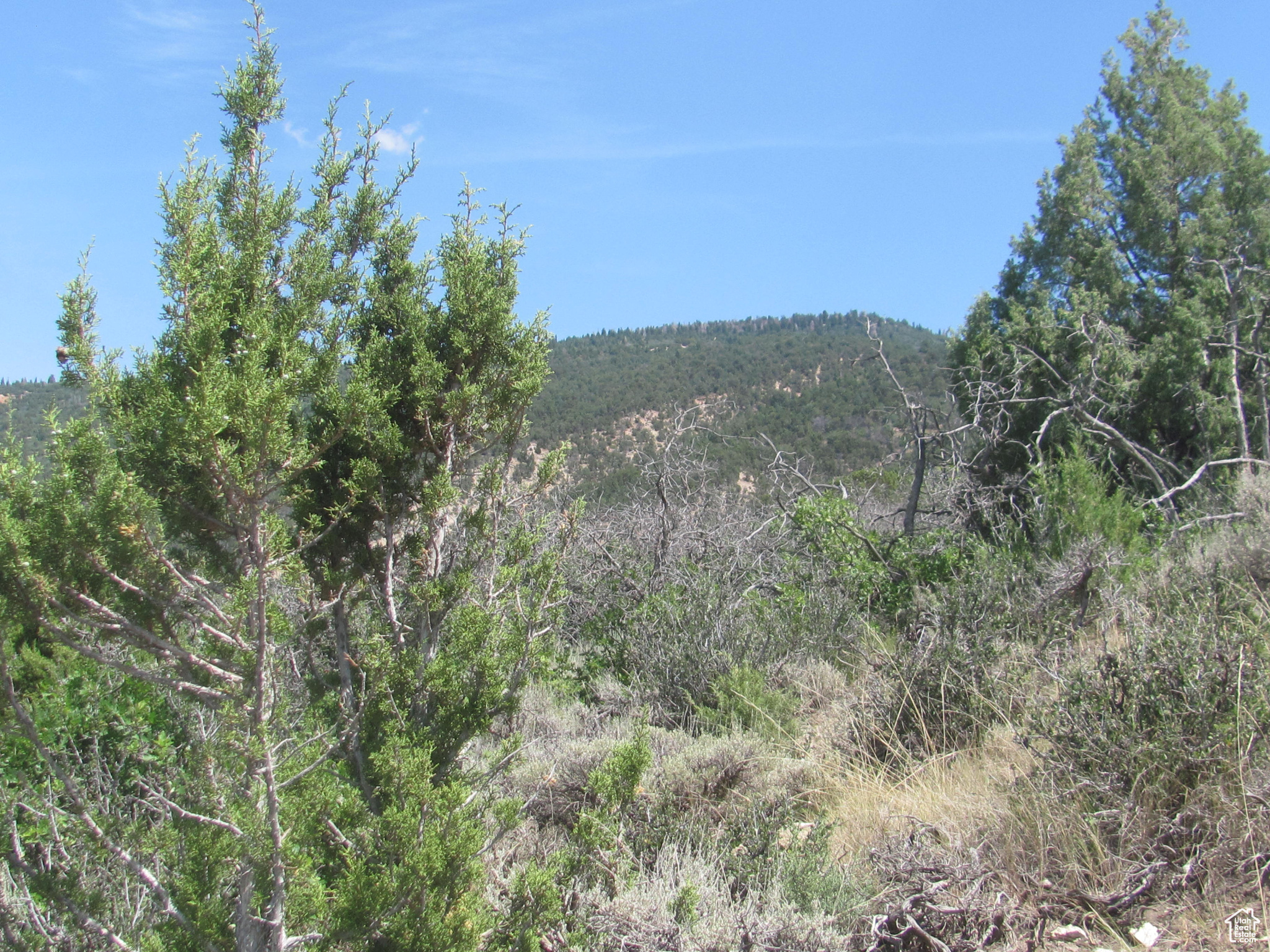 HORSESHOE MT RANCH - Land