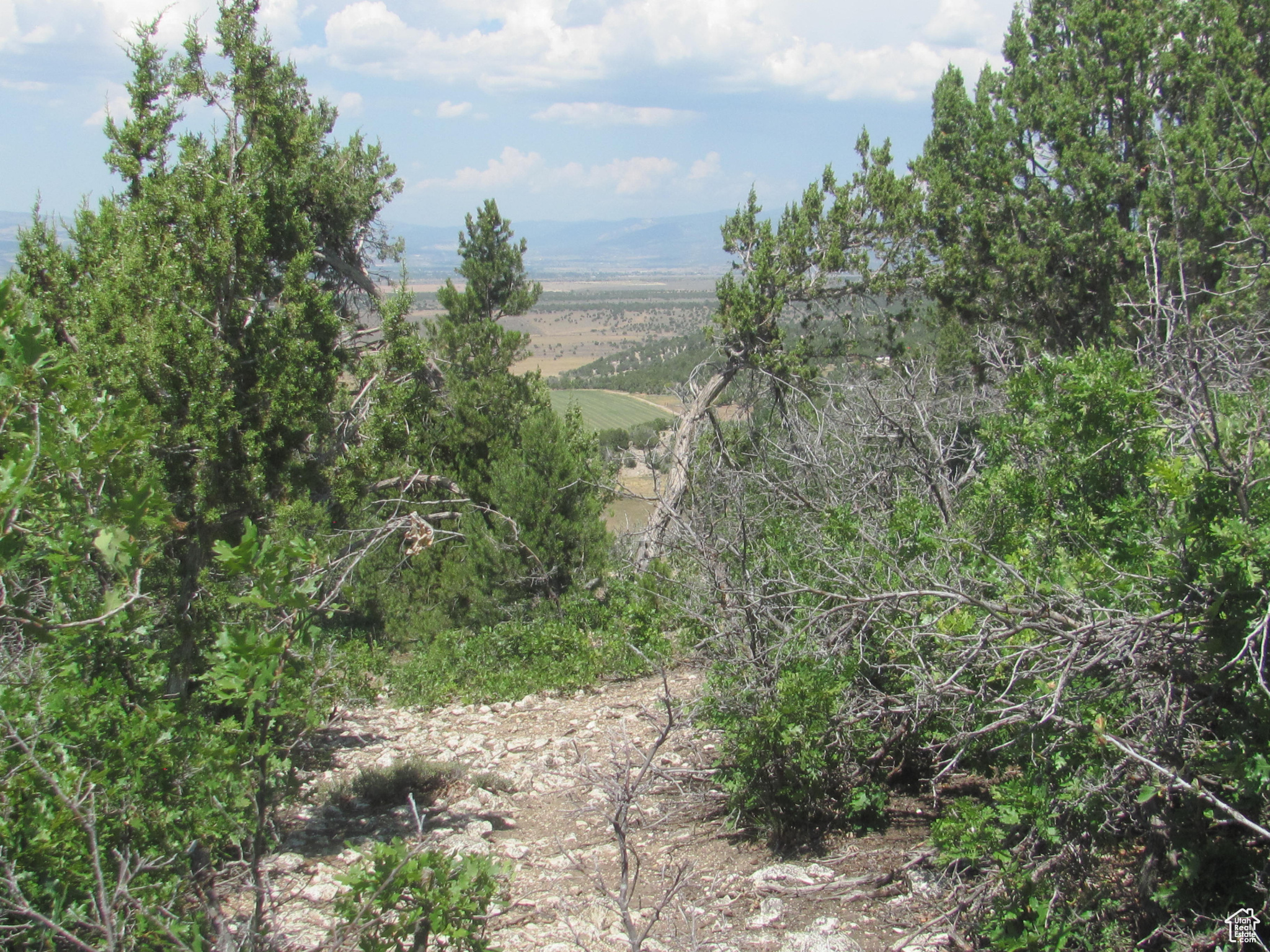 HORSESHOE MT RANCH - Land
