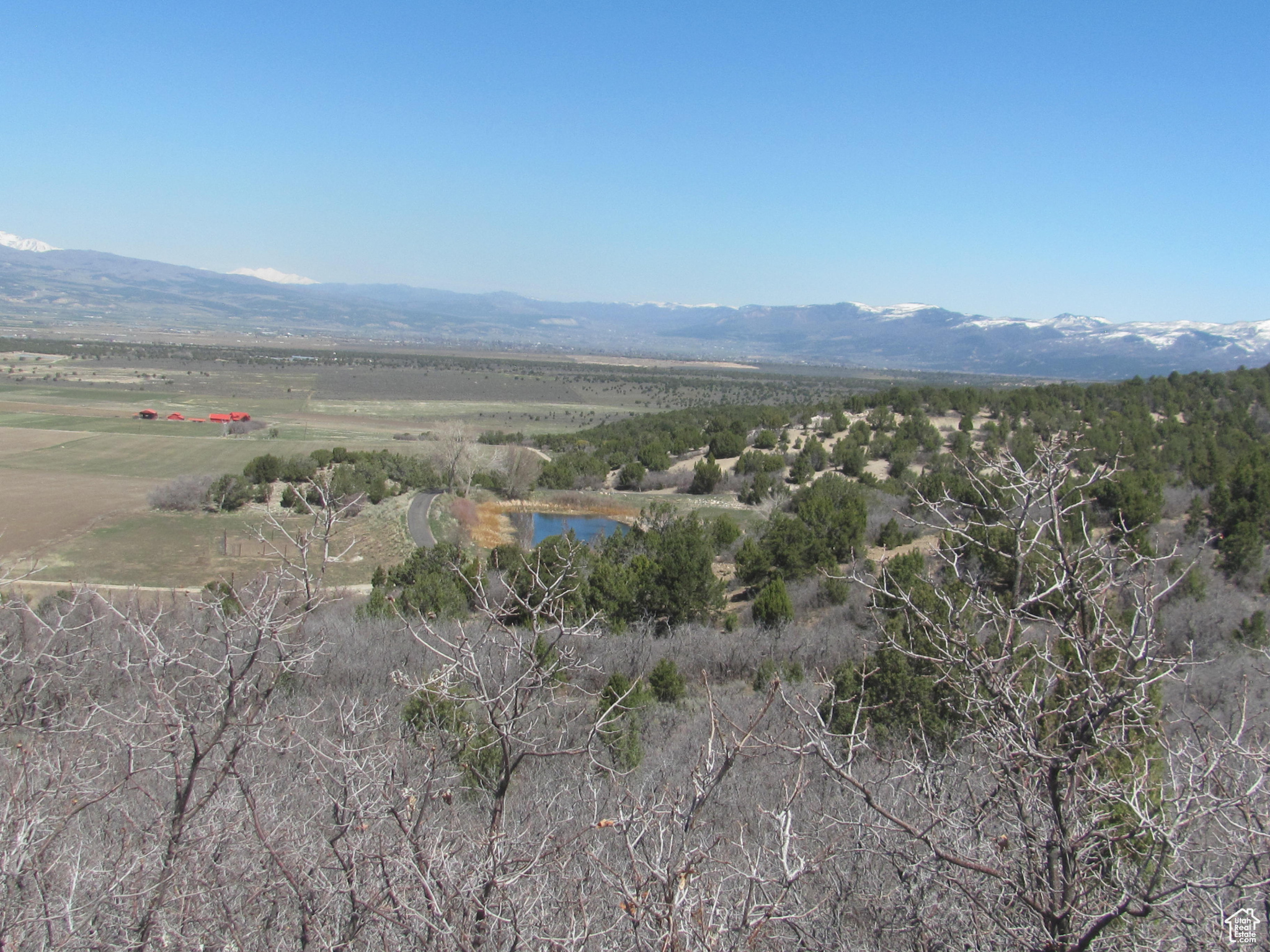 HORSESHOE MT RANCH - Land