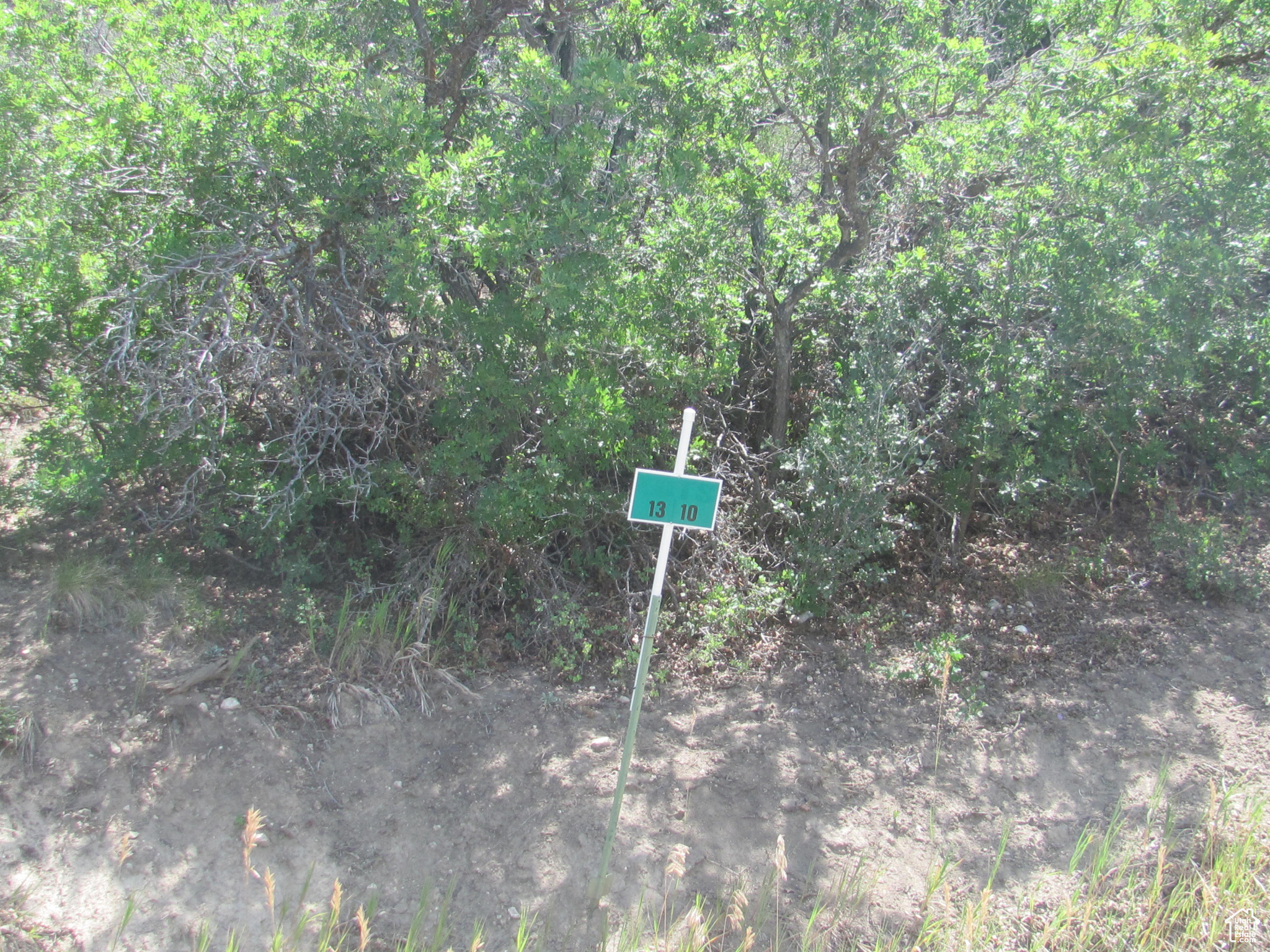 HORSESHOE MT RANCH - Land