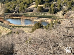 HORSESHOE MT RANCH - Land