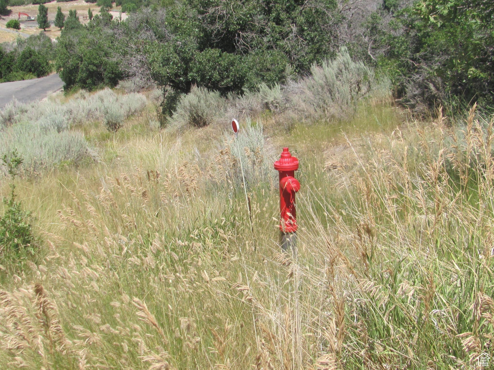 HORSESHOE MT RANCH - Land