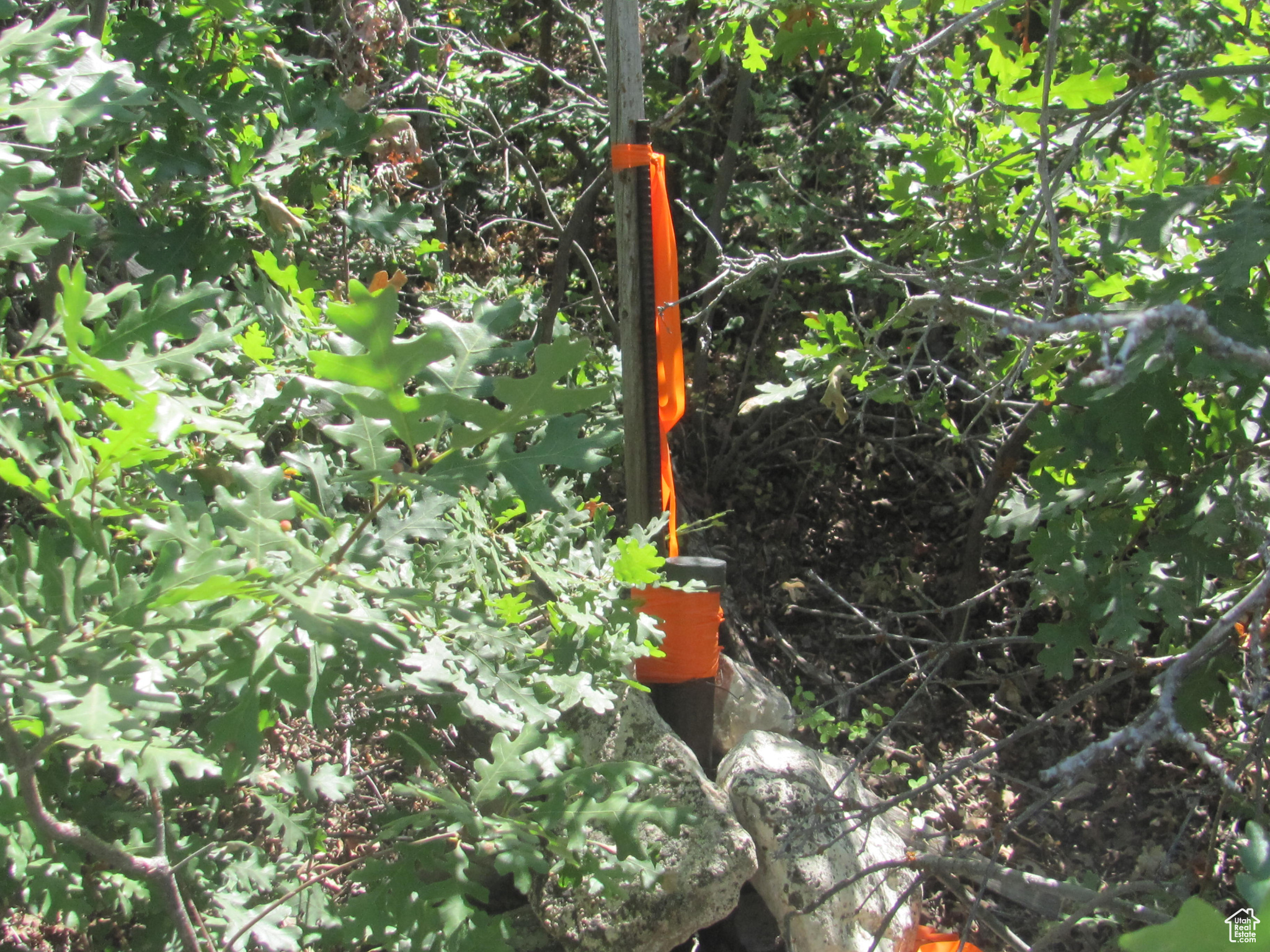 HORSESHOE MT RANCH - Land