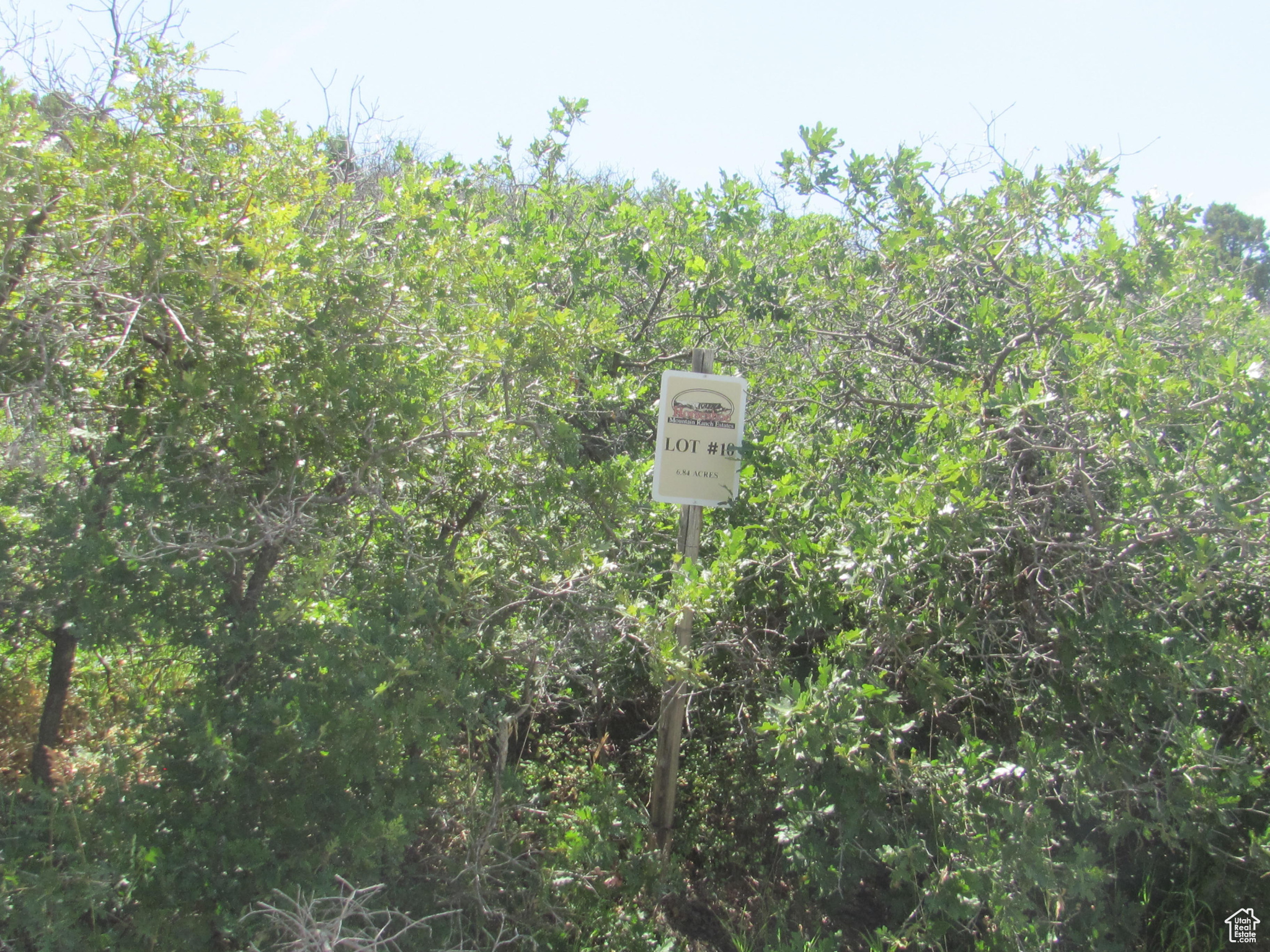 HORSESHOE MT RANCH - Land