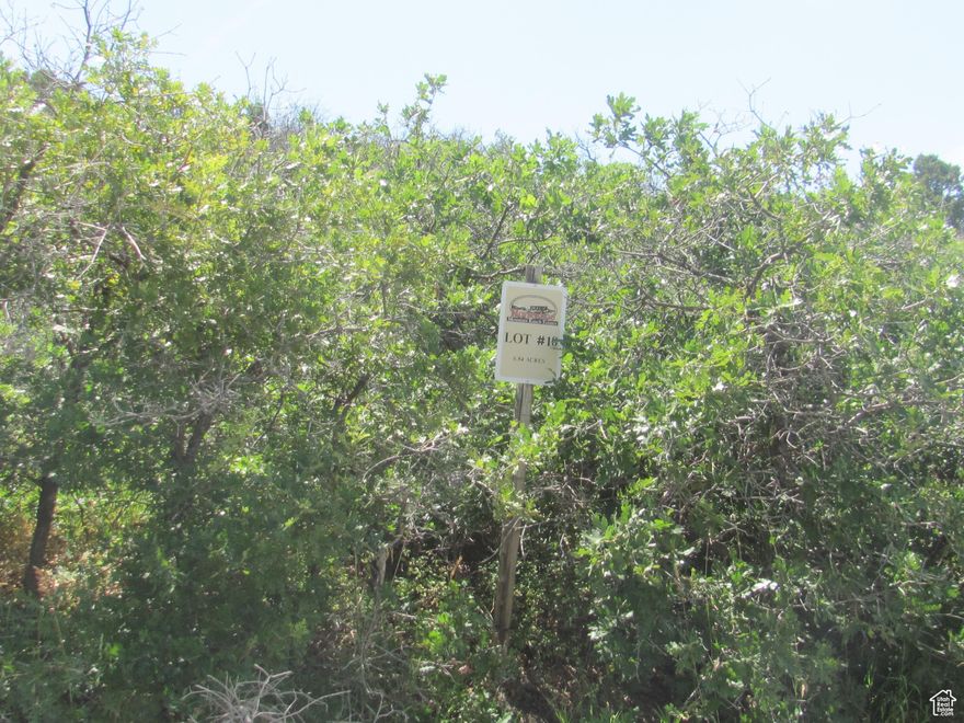 Build Your Dream Home with Expansive Sanpete Valley Views and Seller Financing SELLER FINANCING AVAILABLE!  Build your dream home on this stunning 6.84-acre lot in a rare, environmentally responsible gated community just southeast of historic Spring City, Utah. Enjoy expansive northwesterly views over Sanpete Valley and easy access to Horseshoe Mountain recreation trails-all within a private setting that backs to an 80-acre protected elk crossing.  This ready-to-build parcel offers gentle slopes ideal for a walkout basement or drive-in garage, with utilities stubbed in or nearby (spring-fed community water and electric). Fire protection is exceptional, with a hydrant across the street and year-round access on HOA-maintained paved roads-including snow removal.  The community features a trout pond, picnic area, and native landscaping, creating a serene, nature-rich environment. Mature trees and established foliage provide natural privacy along the road frontage-step out and walk the lot to appreciate its full beauty and multiple build-site possibilities.