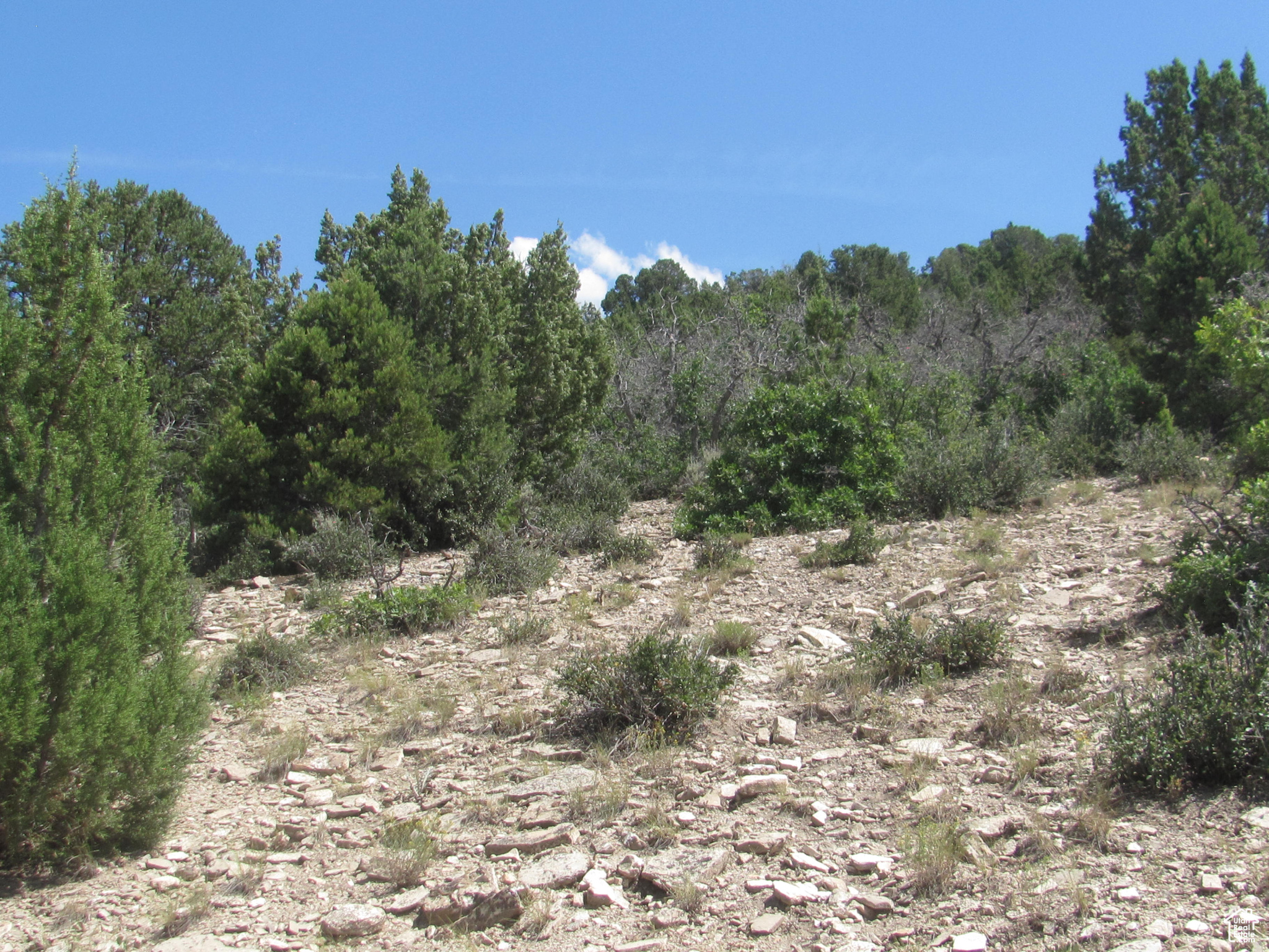 HORSESHOE MT RANCH - Land