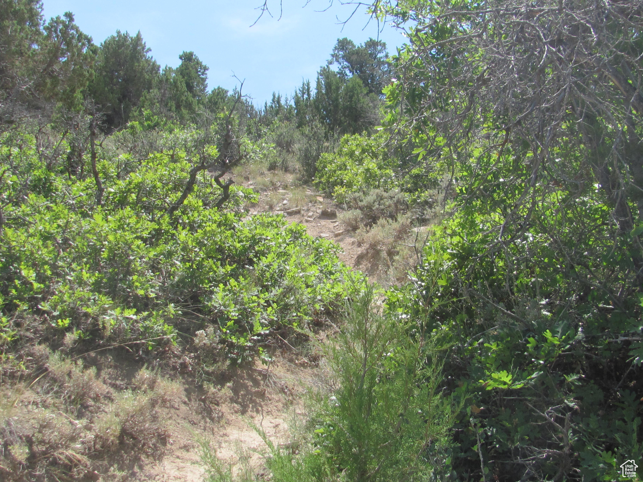 HORSESHOE MT RANCH - Land