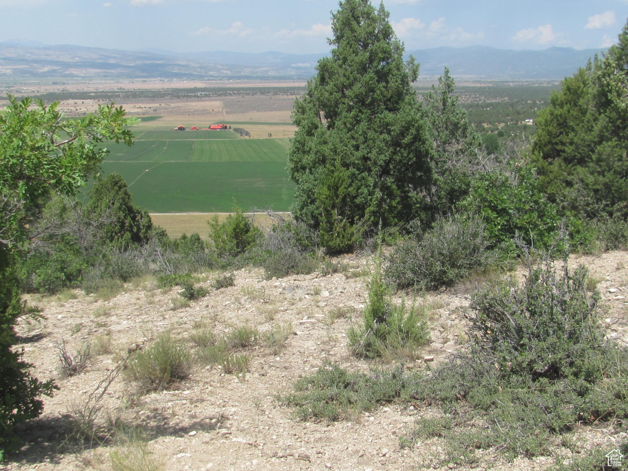 HORSESHOE MT RANCH - Land