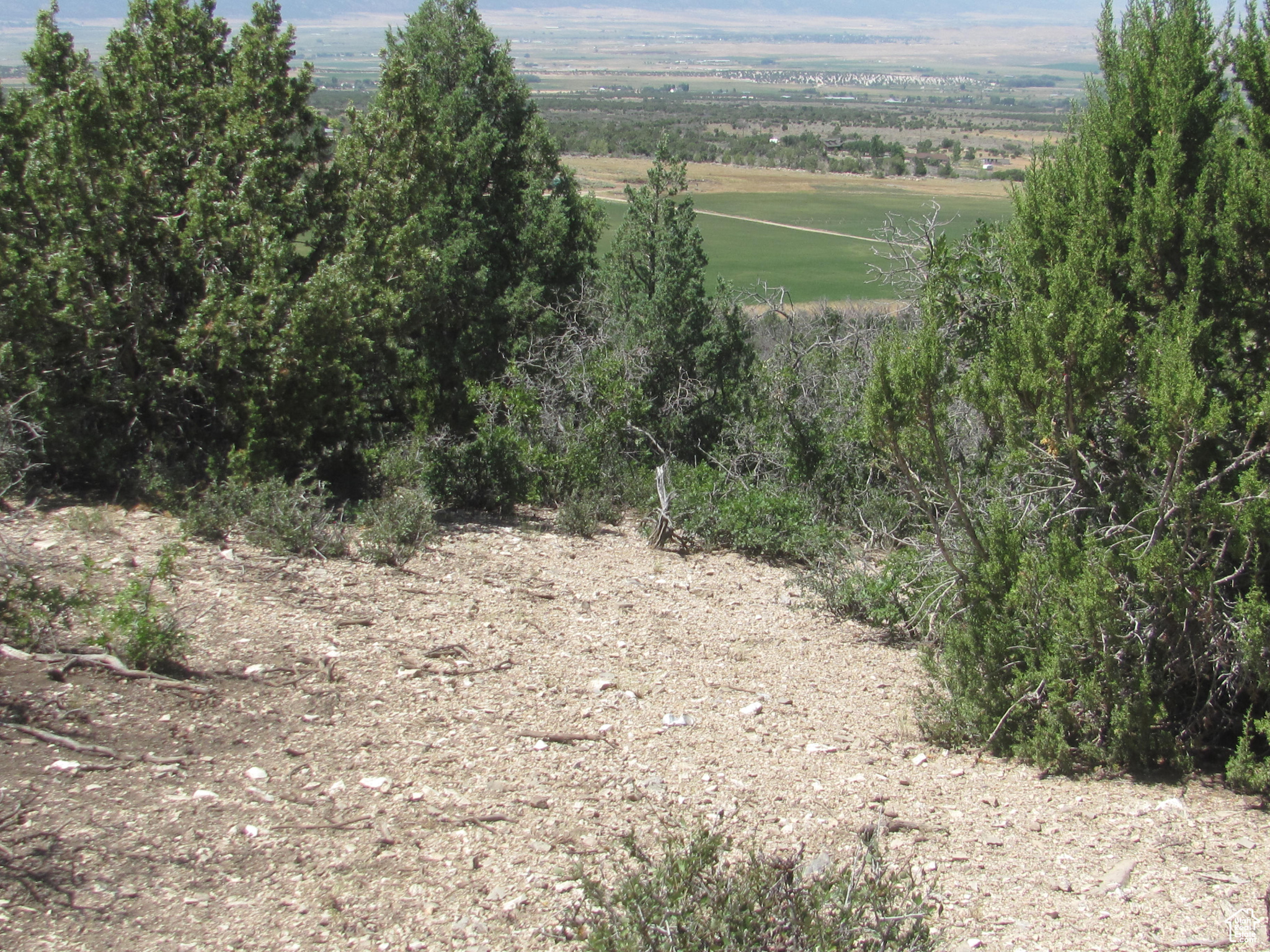 HORSESHOE MT RANCH - Land