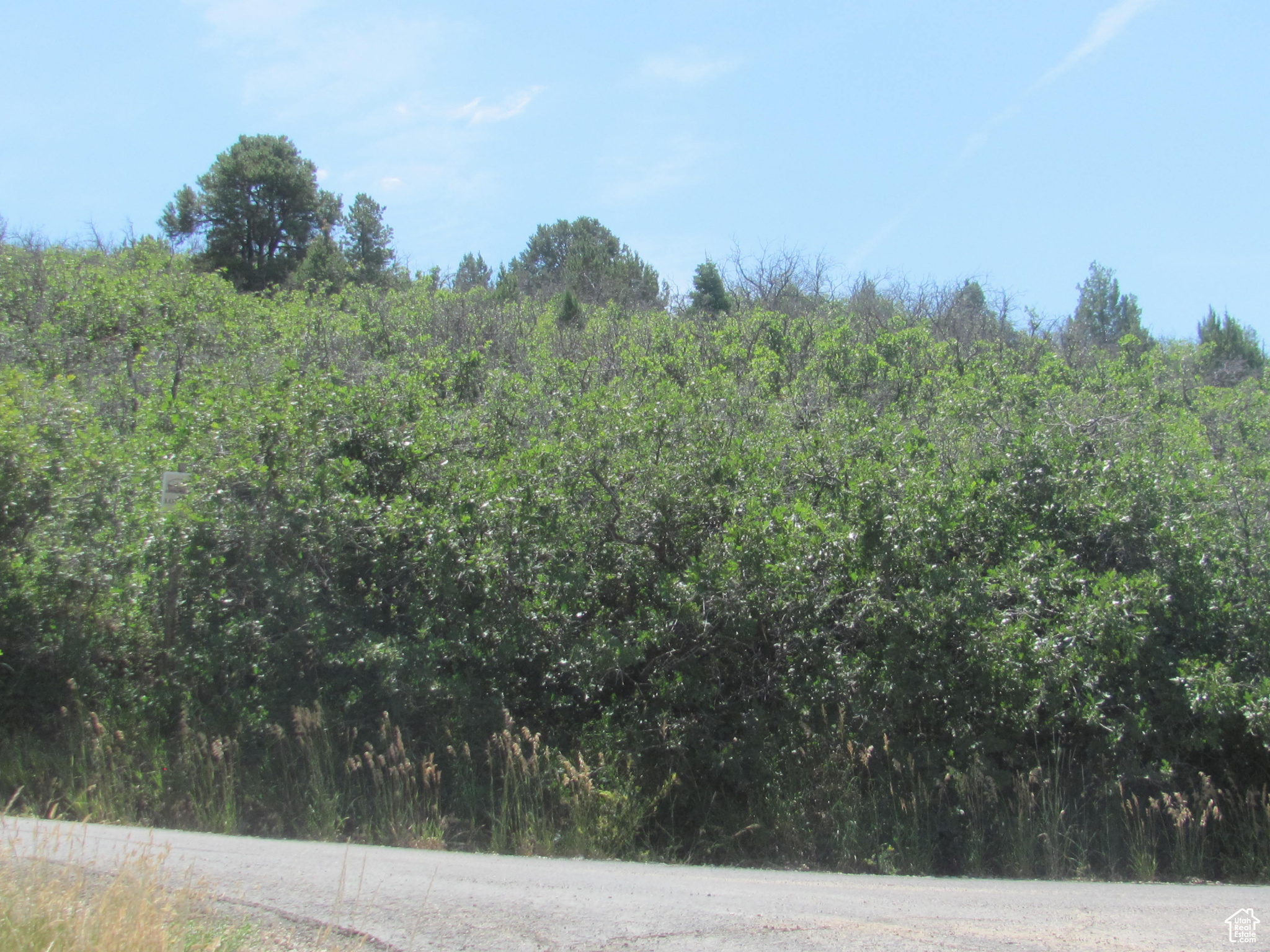 HORSESHOE MT RANCH - Land