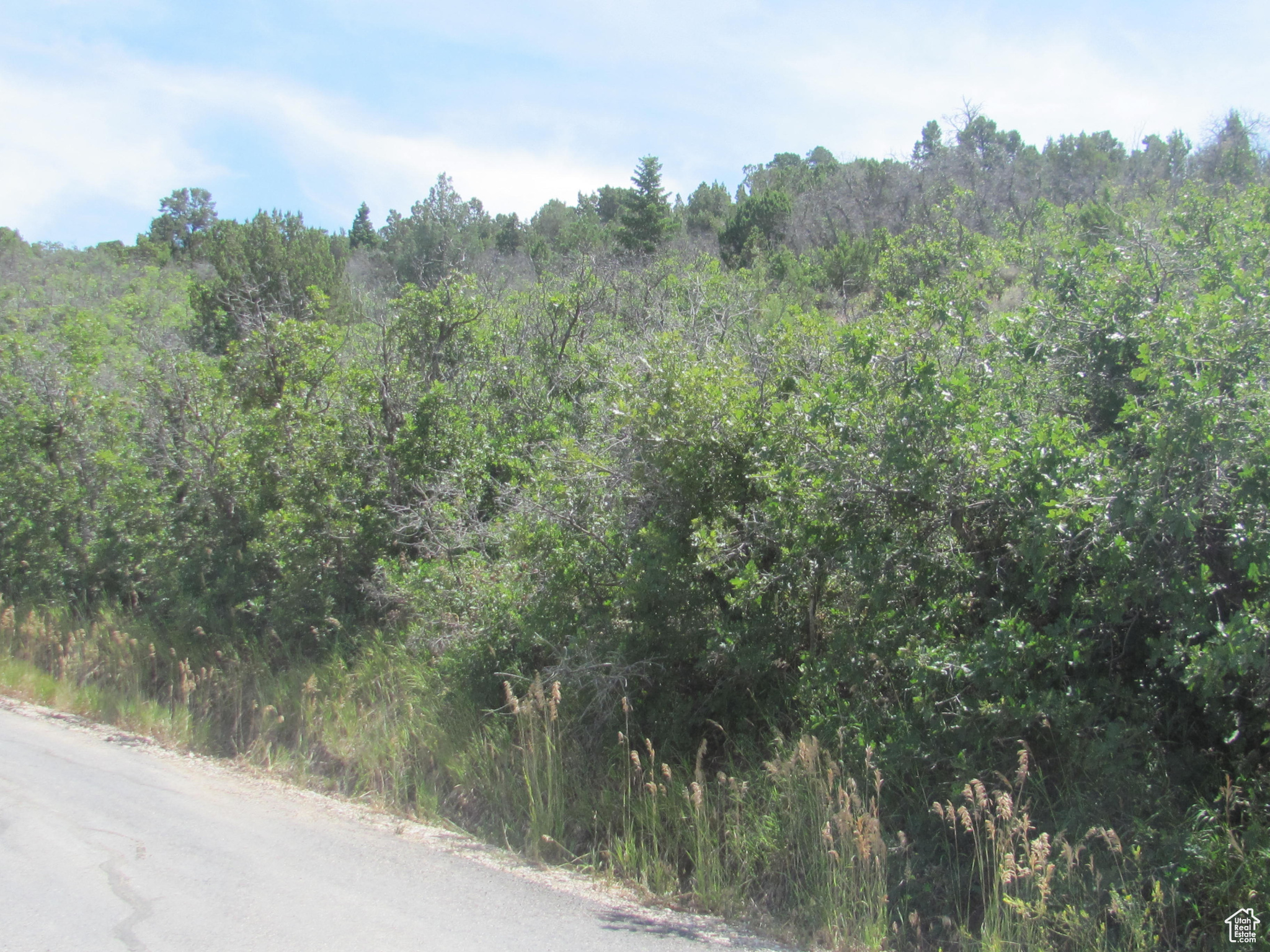 HORSESHOE MT RANCH - Land