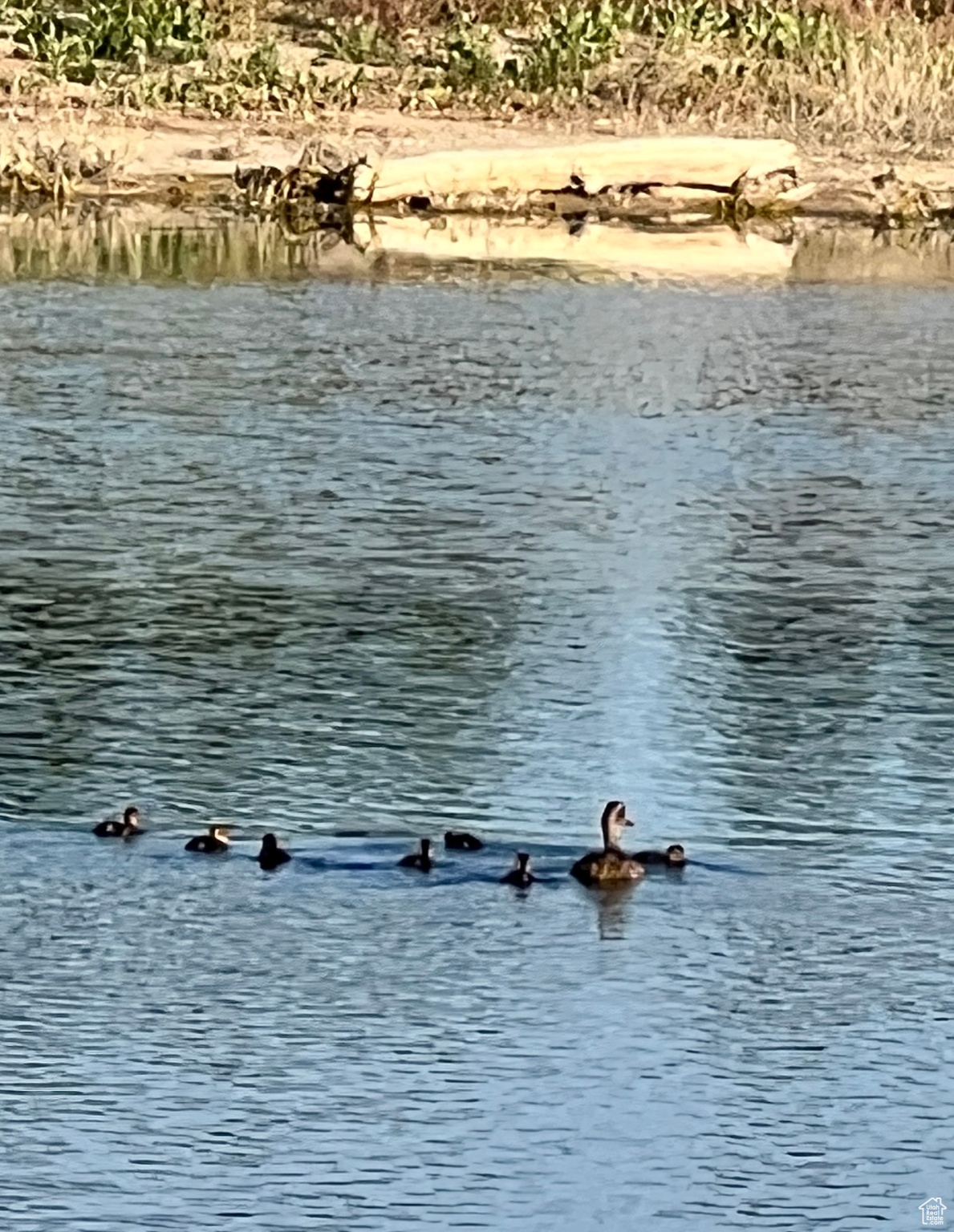 JONI ACRES - Residential