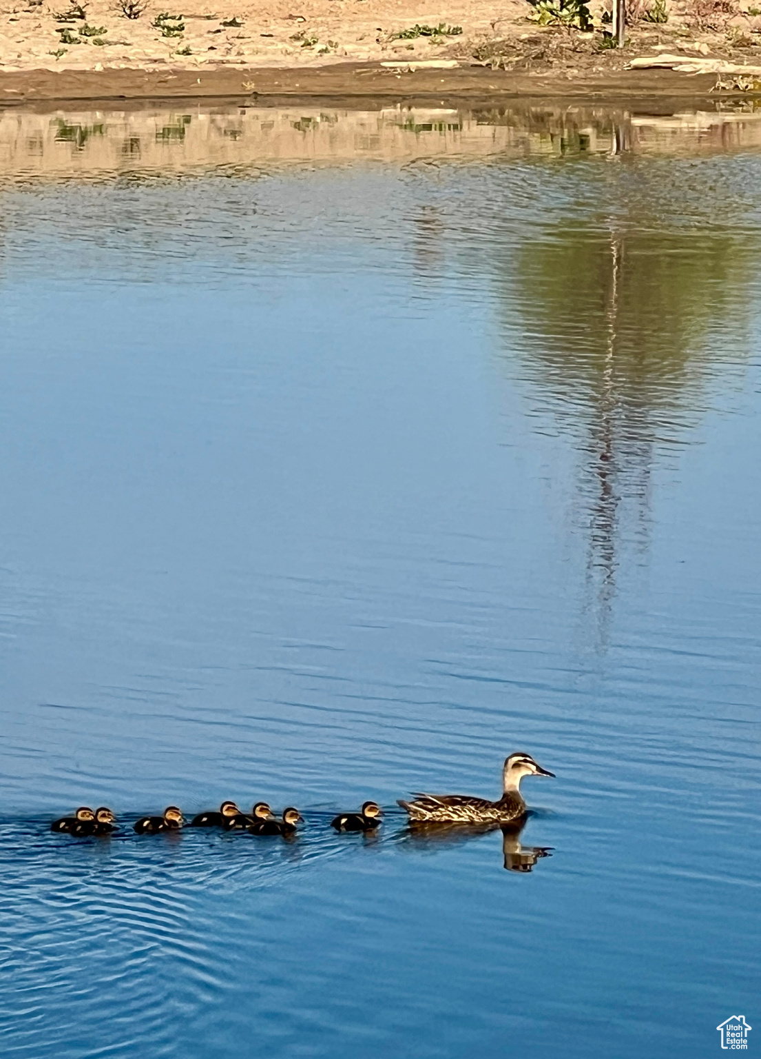 JONI ACRES - Residential