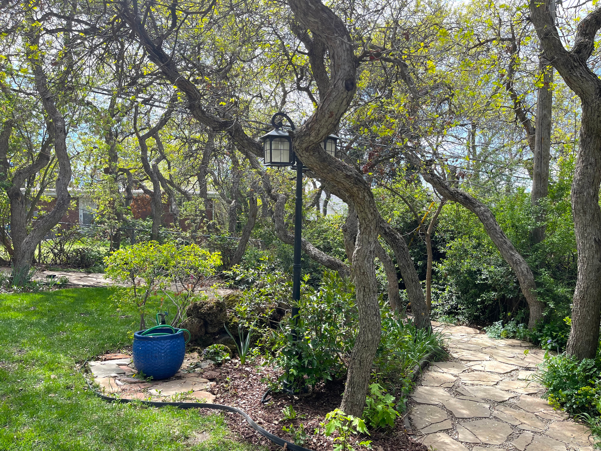 UPLAND TERRA - Residential