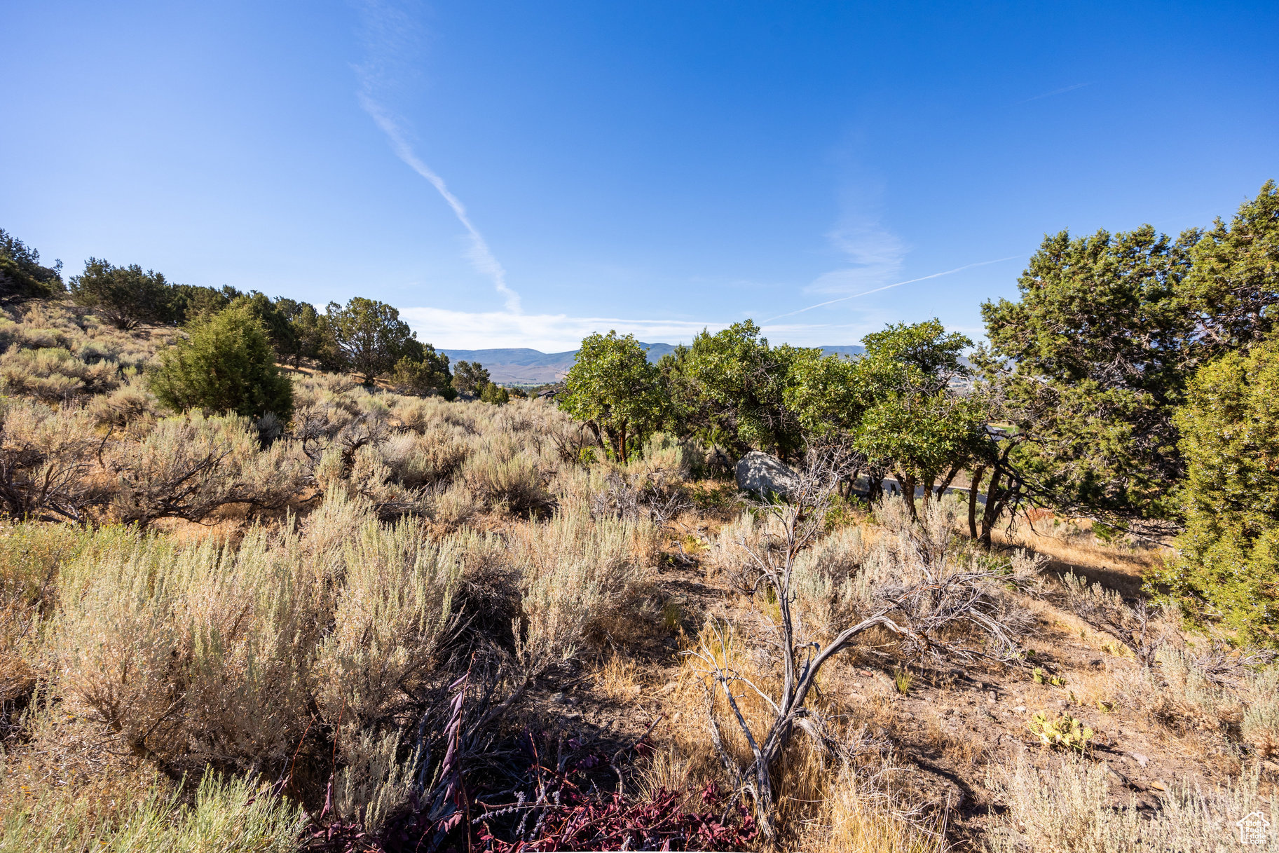 RED LEDGES - Land