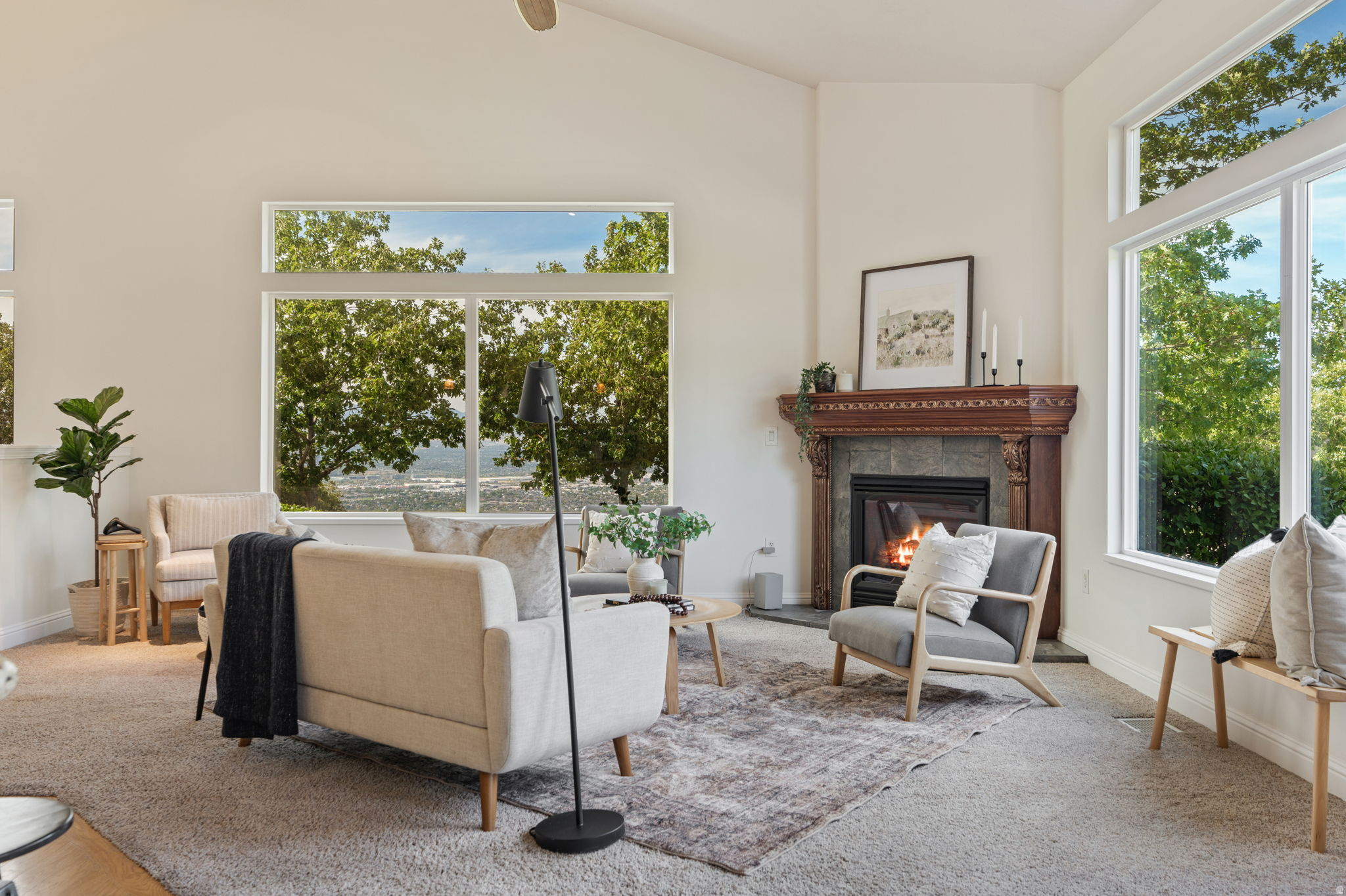 VILLAGE ON THE GREEN - Residential