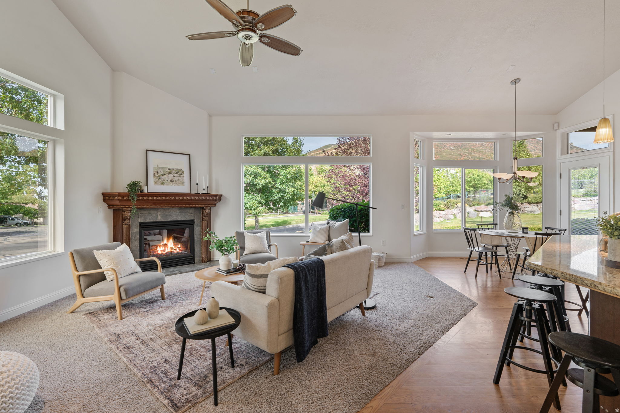 VILLAGE ON THE GREEN - Residential