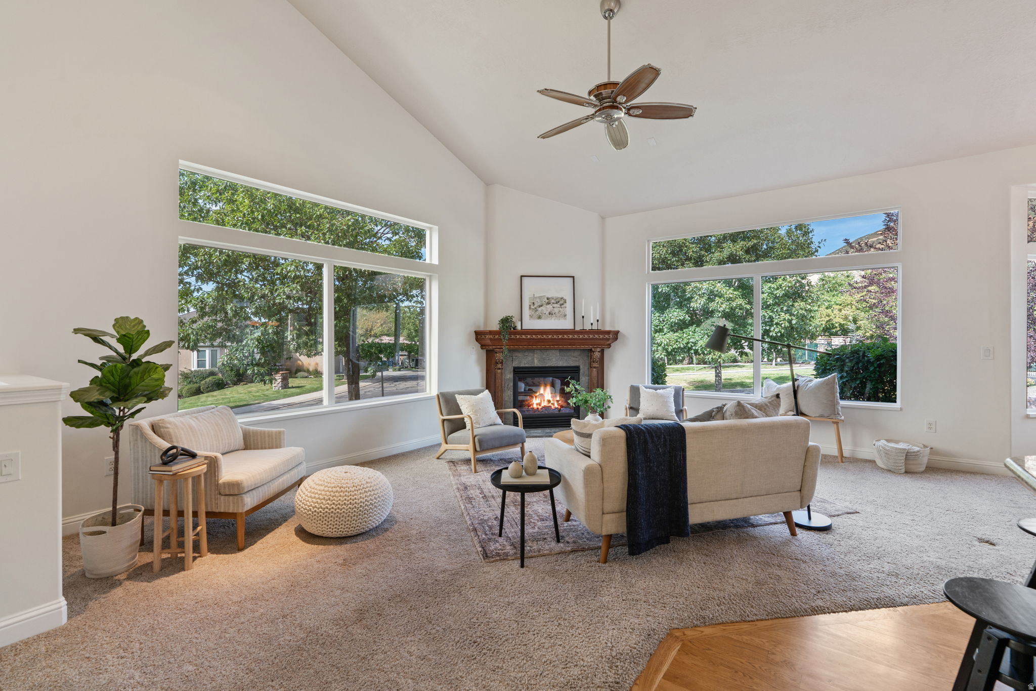 VILLAGE ON THE GREEN - Residential