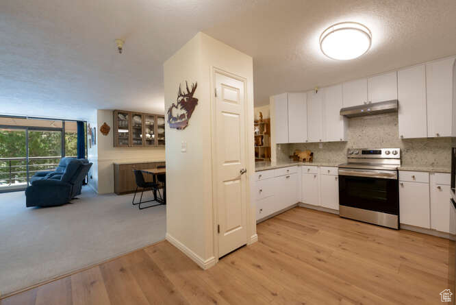 560 E South Temple St #PL 102, Salt Lake City, Utah image 11