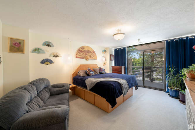 560 E South Temple St #PL 102, Salt Lake City, Utah image 18