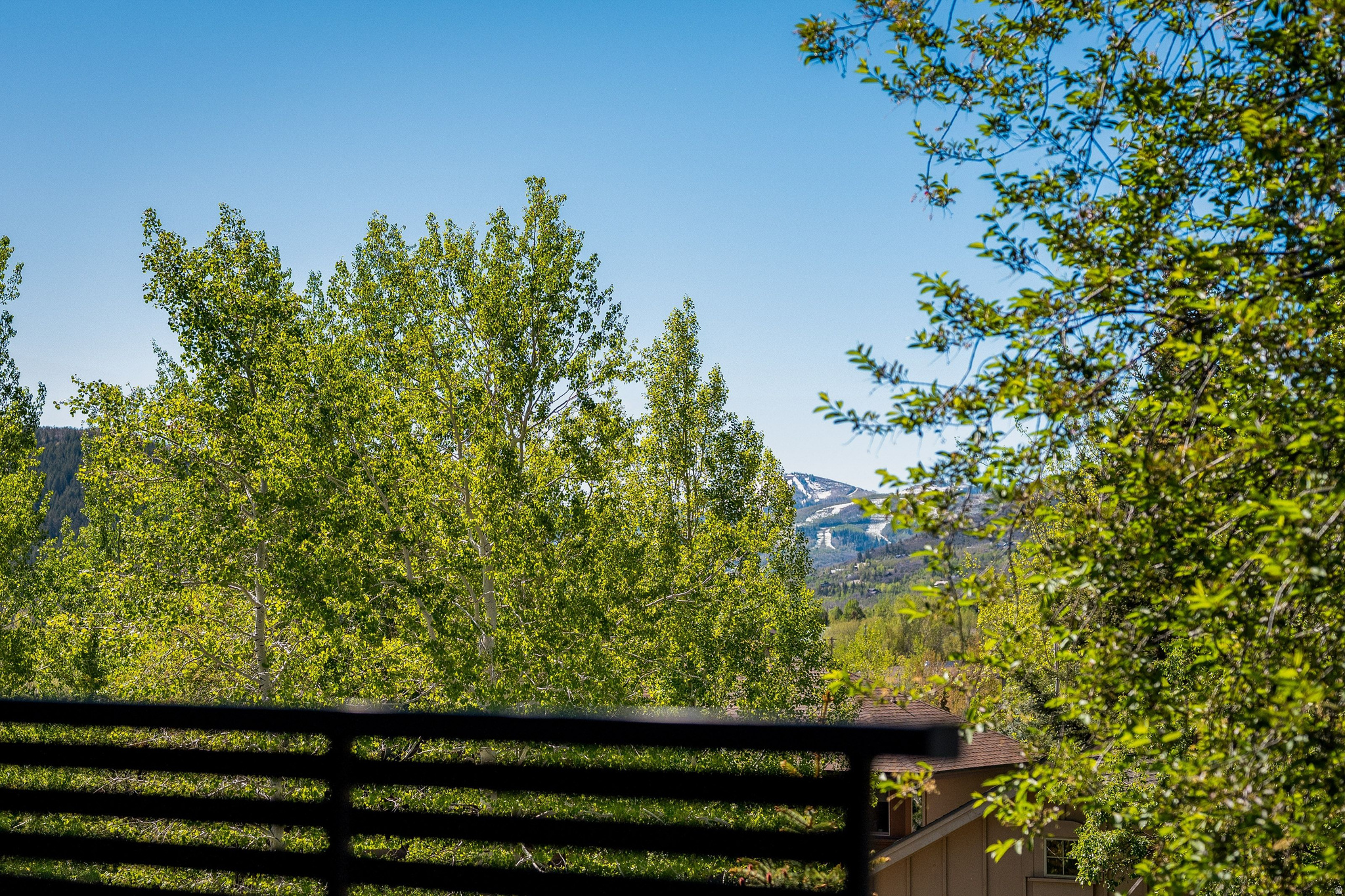 MAHAGONY HILLS SUBDIVISION - Residential