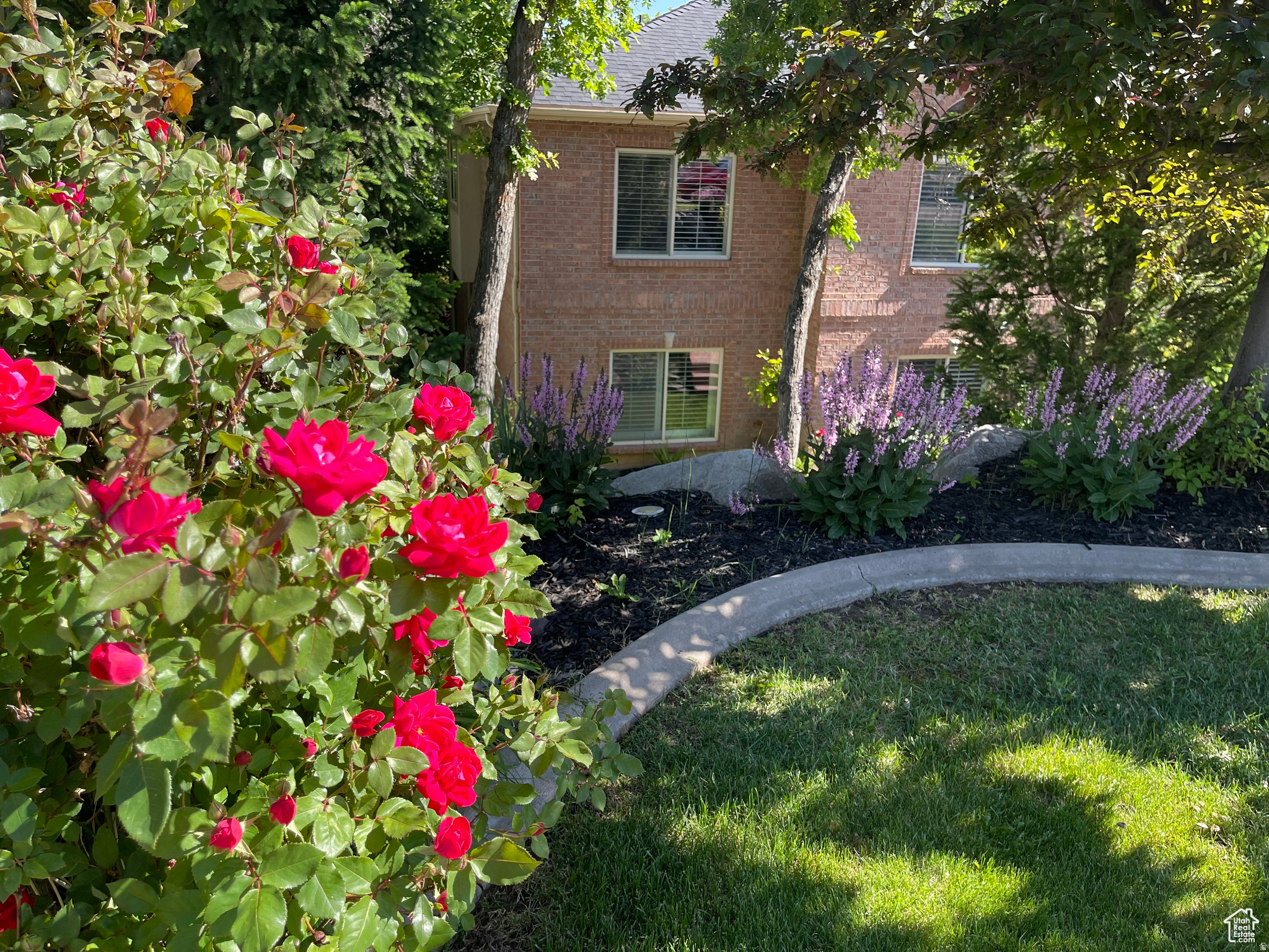 SHADOW VALLEY ESTATES - Residential