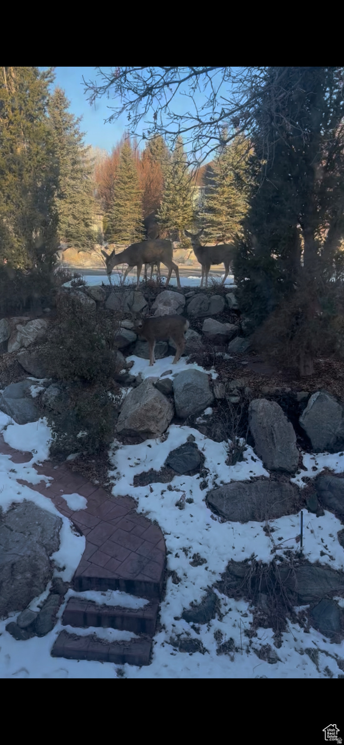 SHADOW VALLEY ESTATES - Residential