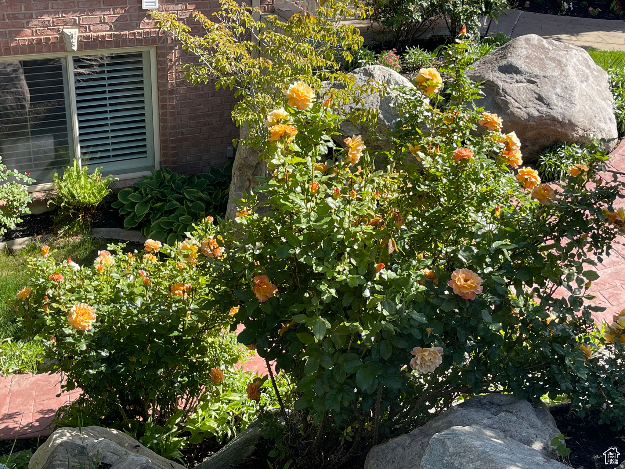 SHADOW VALLEY ESTATES - Residential