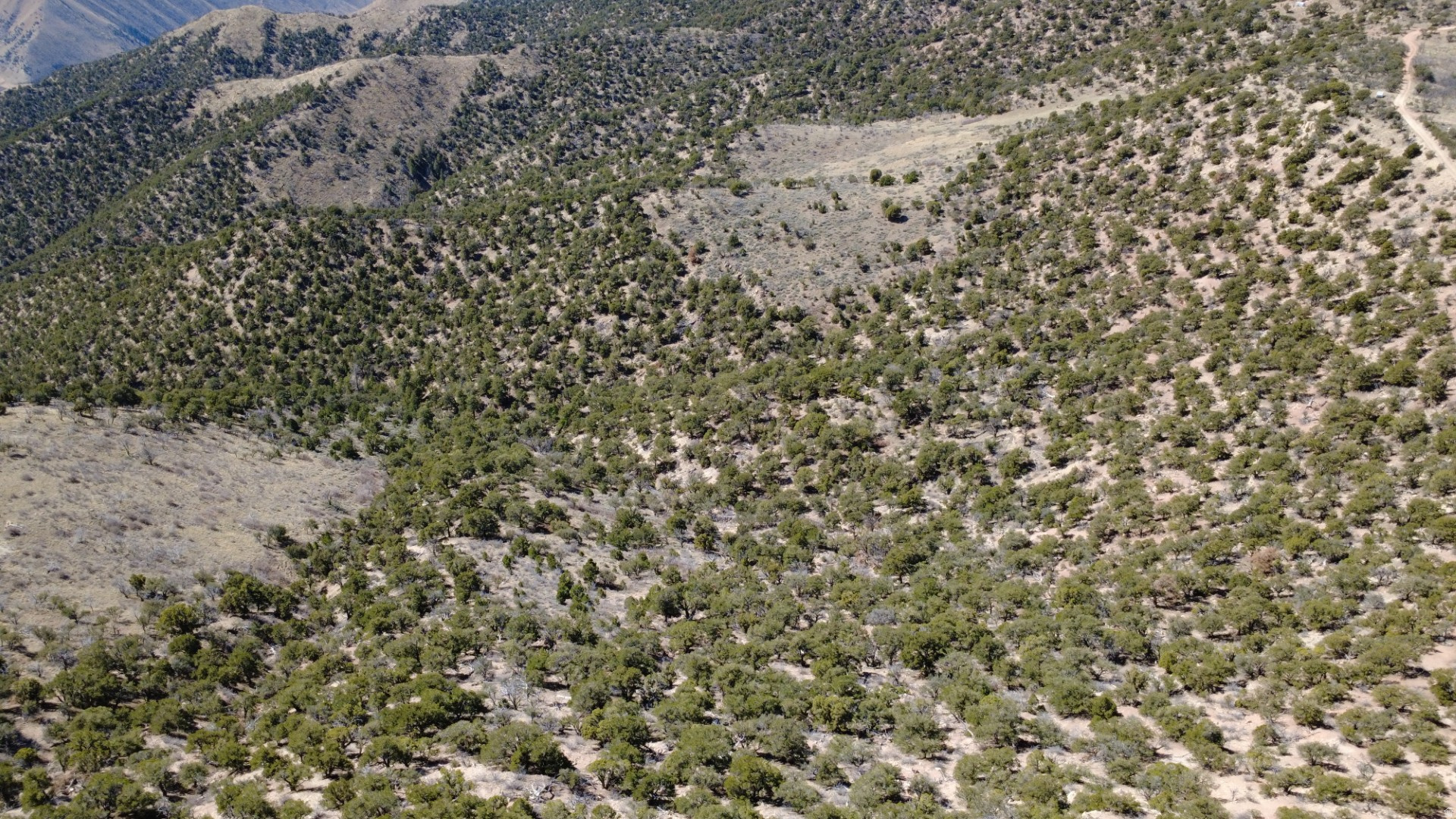 215 MOUNTAIN VIEW ESTATES - Land