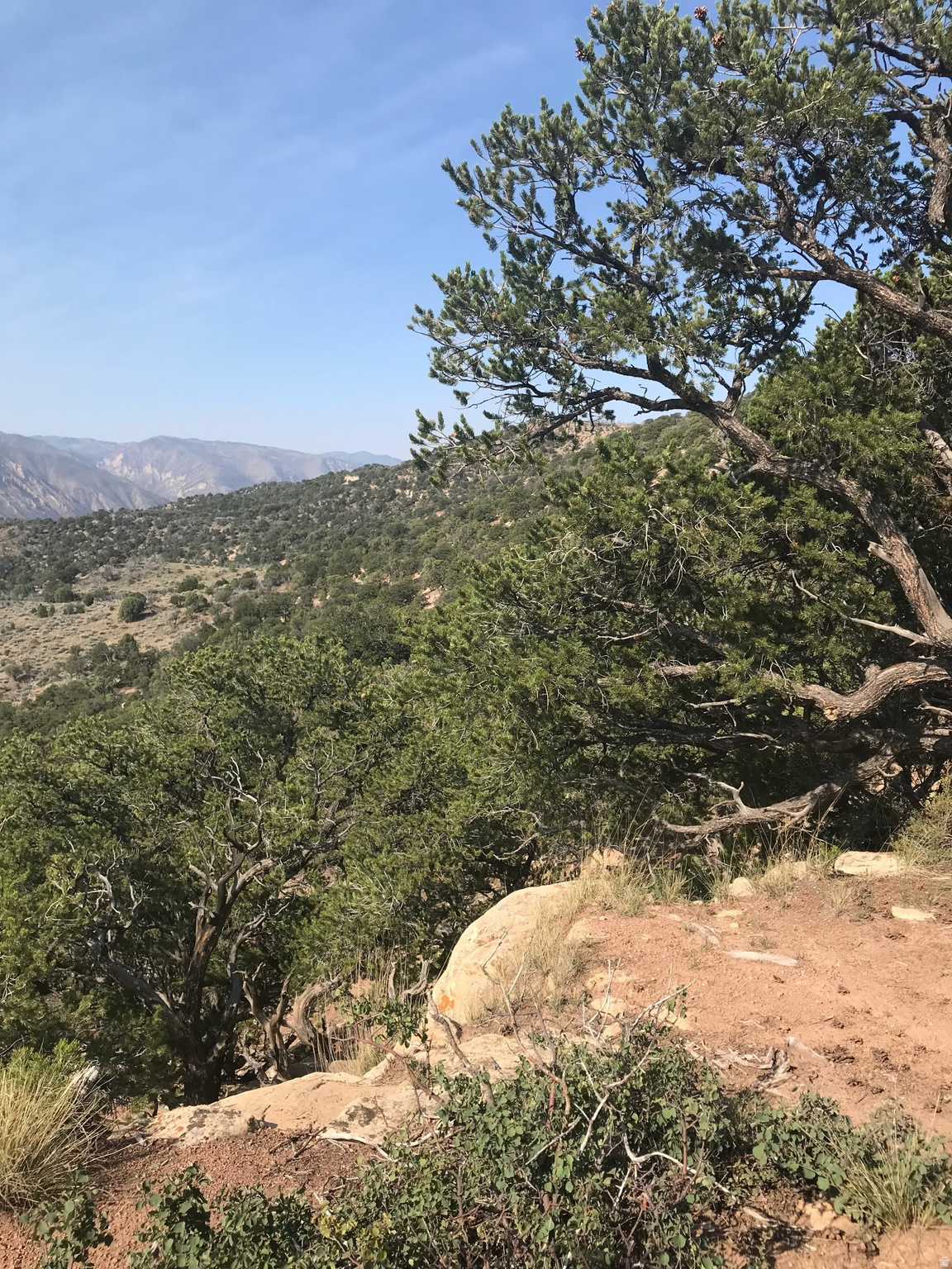 215 MOUNTAIN VIEW ESTATES - Land