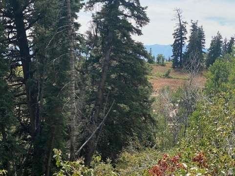 TOLLGATE CANYON - Land