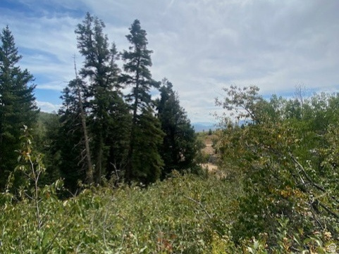 TOLLGATE CANYON - Land