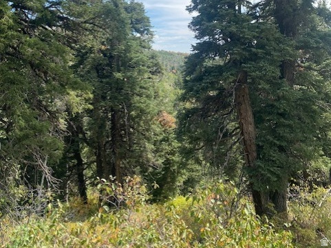 TOLLGATE CANYON - Land