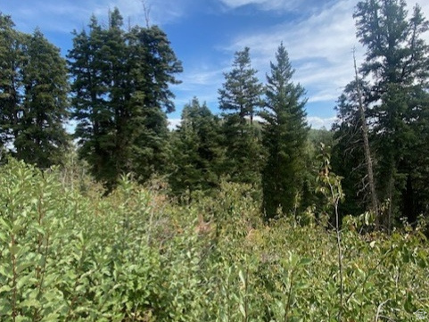 TOLLGATE CANYON - Land