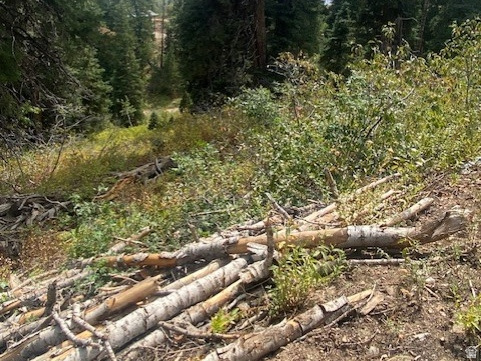 TOLLGATE CANYON - Land