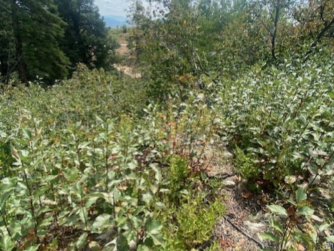 TOLLGATE CANYON - Land