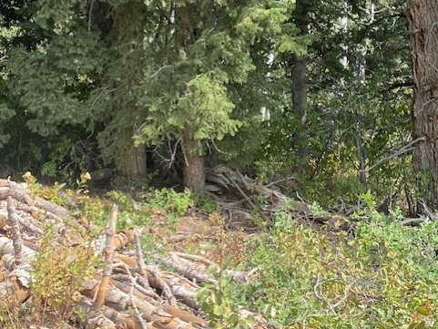 TOLLGATE CANYON - Land