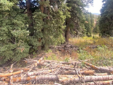 TOLLGATE CANYON - Land