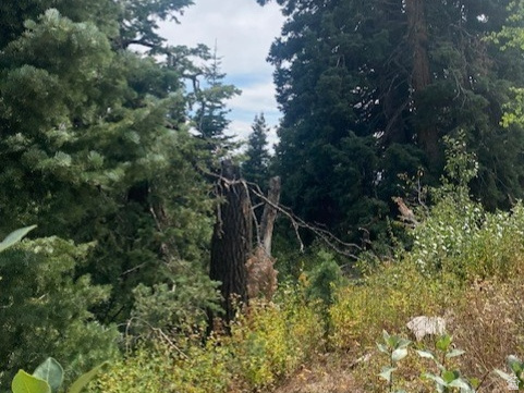 TOLLGATE CANYON - Land