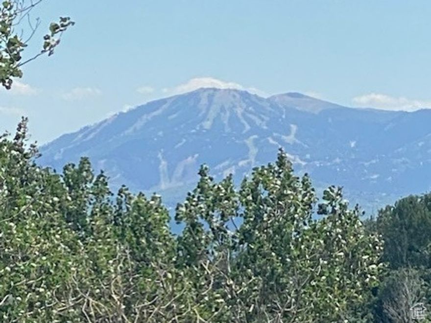 This stunning forest parcel is the largest in the HOA and will leave you breathless. Annexed into the Pine Meadow Ranch HOA, allowing you to connect to the Pine Meadow Water Company, adds to the ease of building on this fantastic parcel. Barely 2 miles up the canyon on the Forest Meadow side of the ranch allows for easy year-round access, and a trip to the Salt Lake International Airport is only about 35-40 minutes from your front door.  Large parcels on this side of the ranch offer more seclusion and privacy. An occasional Elk may walk by on his way to the 'Moose-pond" below. The wildlife up here, I have been told, rivals that of Yellowstone National Park. Build your main home, and guest house by the entrance, and hide yourself in the mountain luxury you've always dreamed of. Live where you LOVE, in Tollgate Canyon. Call me, let's walk this property today before someone else does.