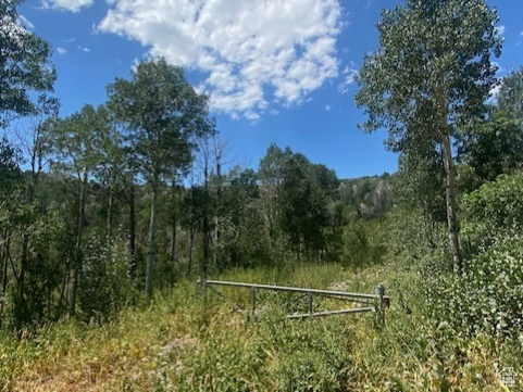 TOLLGATE CANYON - Land