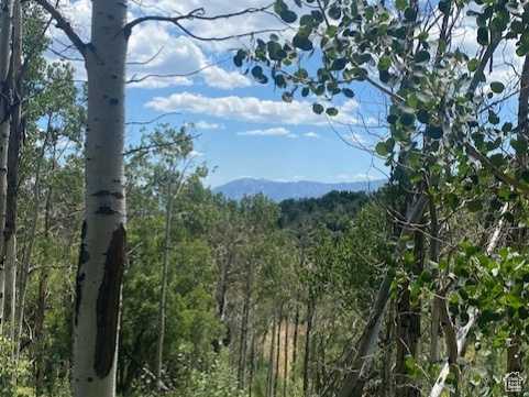 TOLLGATE CANYON - Land