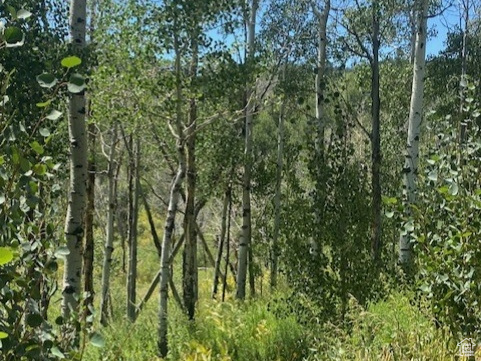 TOLLGATE CANYON - Land