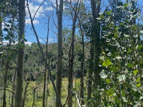 TOLLGATE CANYON - Land