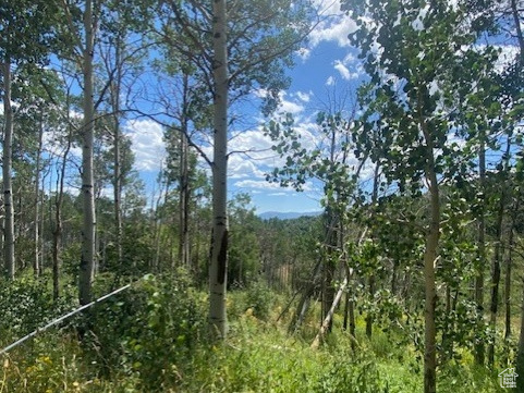 TOLLGATE CANYON - Land