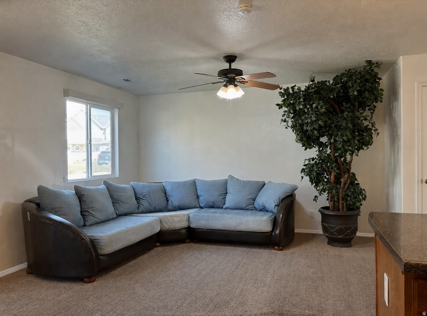 COUNTRY LANE - Residential