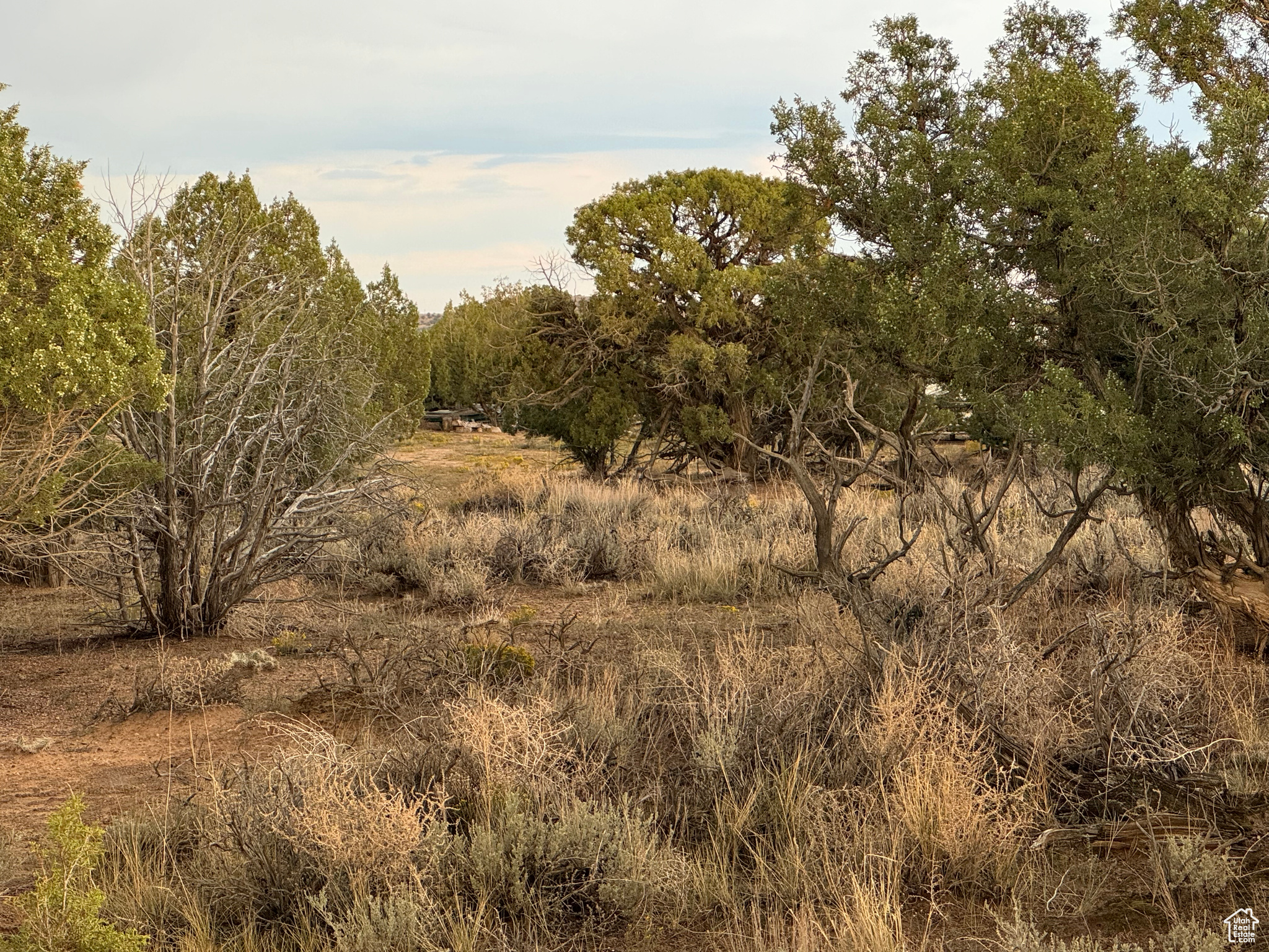 #6, Duchesne, Utah image 25