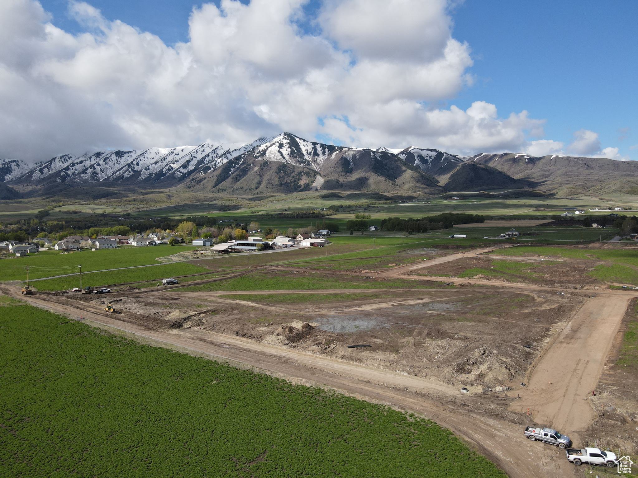 BLUEBERRY SPRINGS - Land