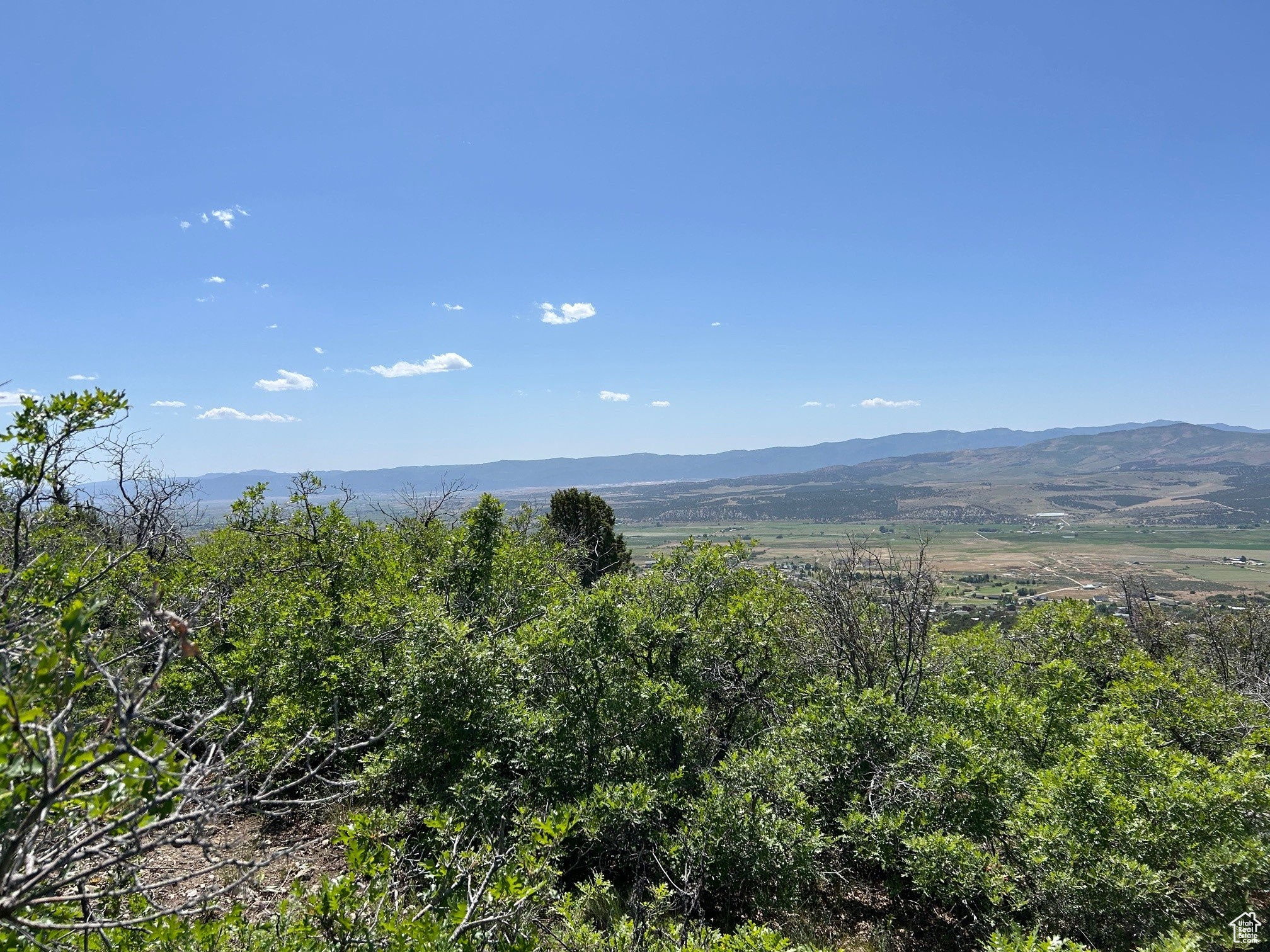 THE HOLLOWS AT LEGACY MOUNTAIN - Land
